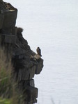 20090412 Coastal walk from Ogmore by Sea to Llantwit Major